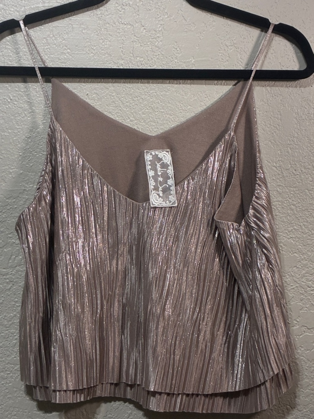 Sadie & Sage Metallic Taupe Pleated Crop Top
